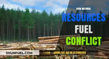 Natural Resources: The Hidden Spark Igniting Global Conflict and Strife