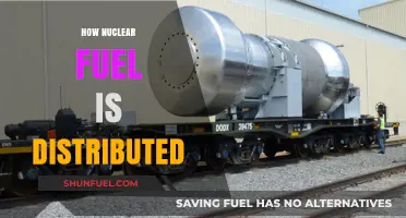 Global Distribution Networks: How Nuclear Fuel is Transported and Allocated