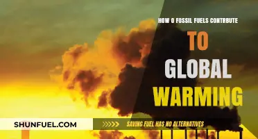 Fossil Fuels' Role in Driving Global Warming: A Critical Analysis