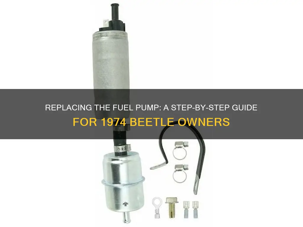 how o replace fuel pump on 1974 beetle