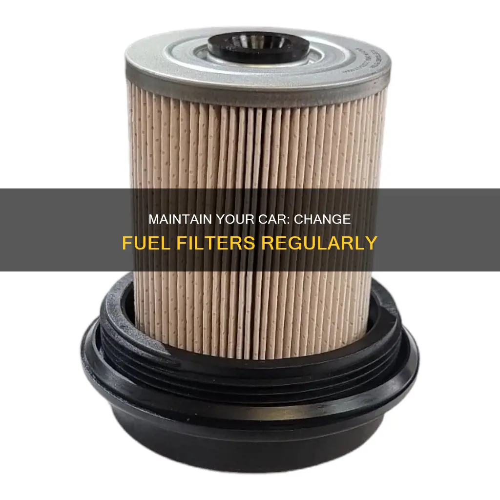 how offen fuel filter