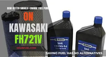 When to Change Your Kawasaki FH721V Fuel Pump