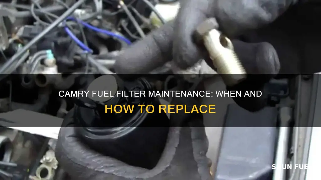 how oftem replace fuel filter 2002 camry