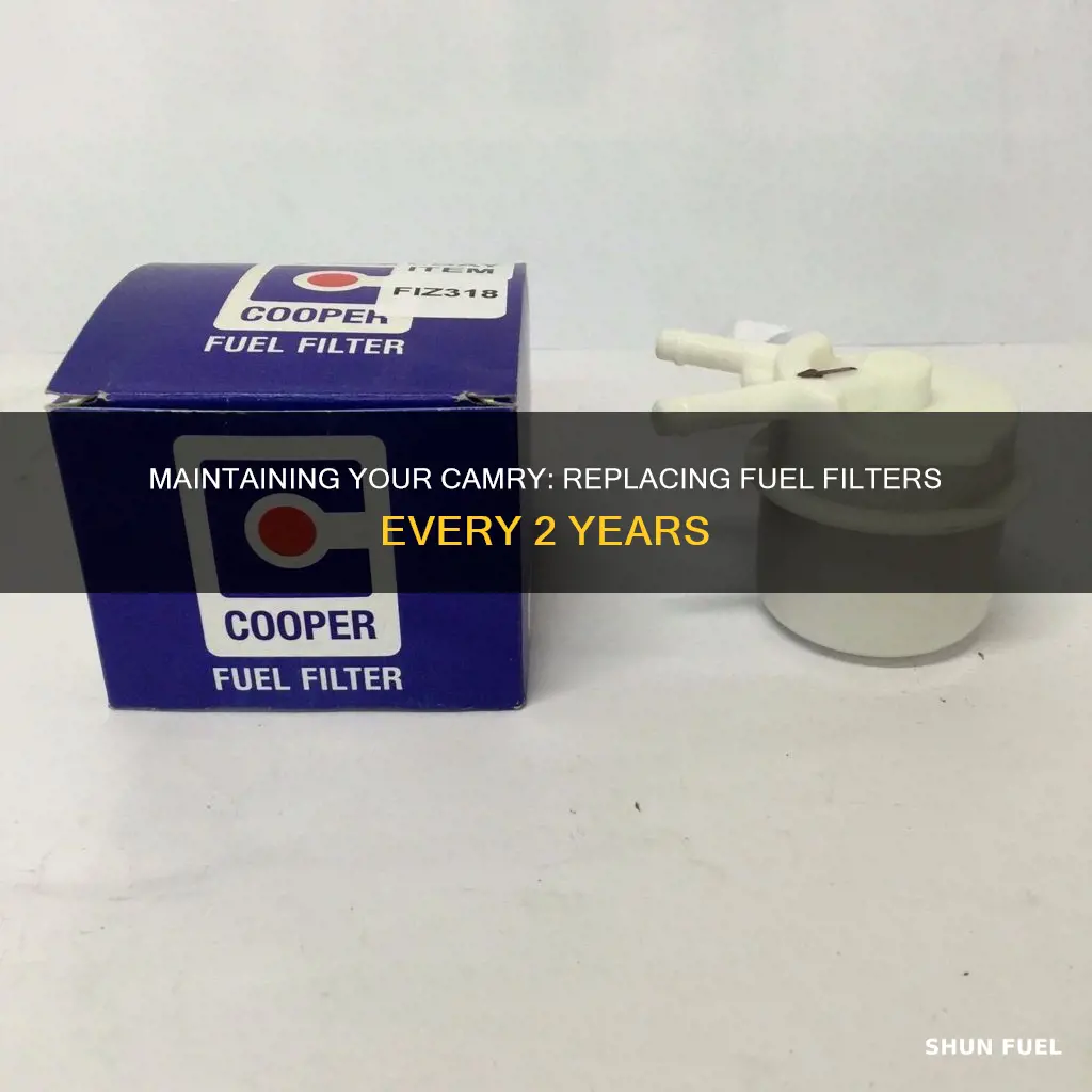 how oftem replace fuel filter 2002 camry
