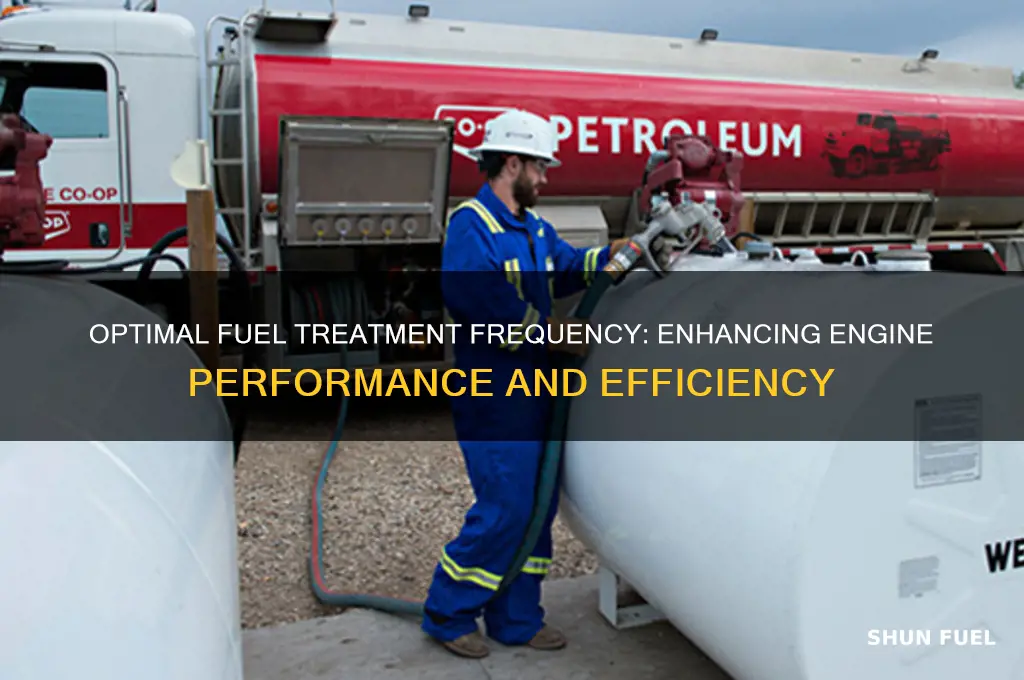 how often can you use fuel treatment
