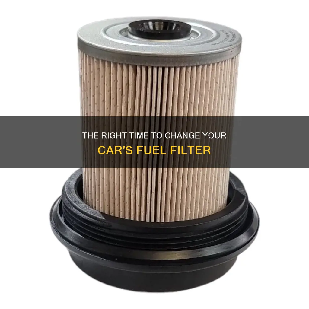how often change car fuel filter