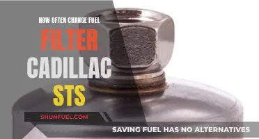 Cadillac STS: Fuel Filter Change Intervals and Maintenance