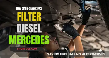 When to Change Your Diesel Mercedes Fuel Filter