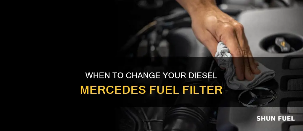 how often change fuel filter diesel mercedes