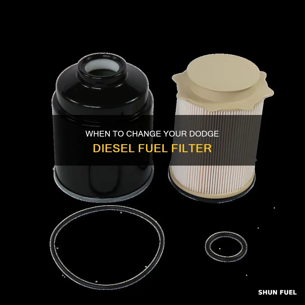how often change fuel filter dodge diesel