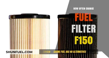 When to Change Your F150 Fuel Filter