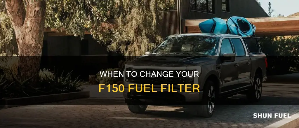 how often change fuel filter f150