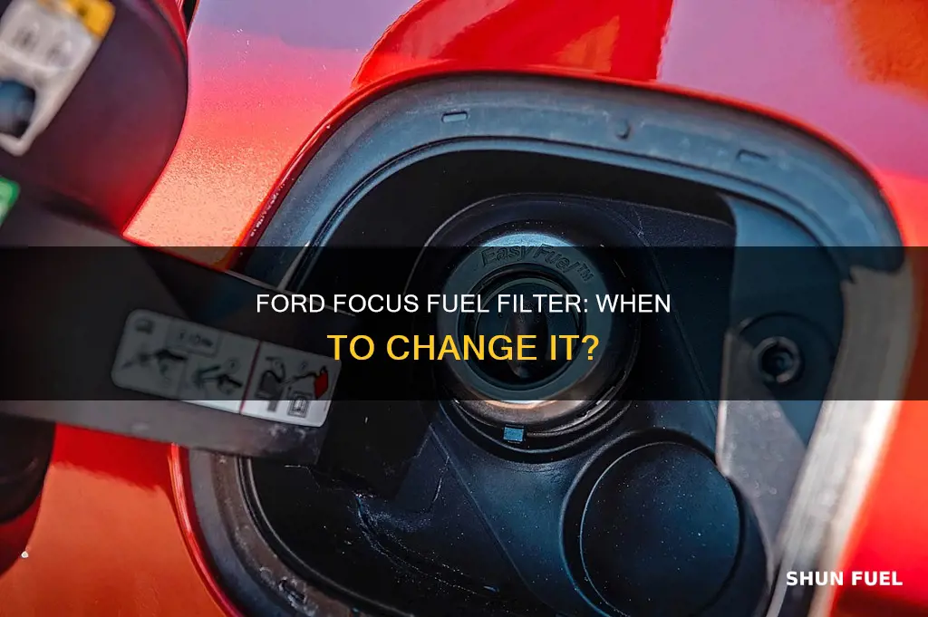 how often change fuel filter ford focus