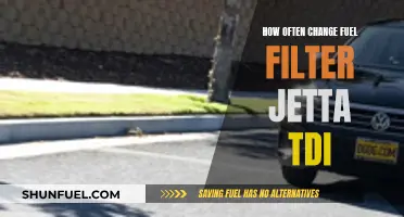 When to Change Your Jetta TDI's Fuel Filter