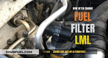 When to Change Your LML Fuel Filter