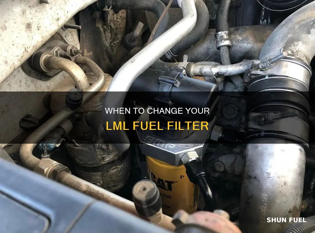 how often change fuel filter lml