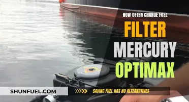 When to Change Your Mercury Optimax Fuel Filter