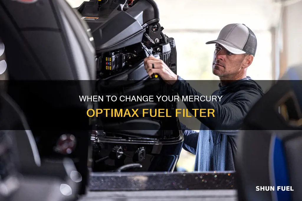 how often change fuel filter mercury optimax