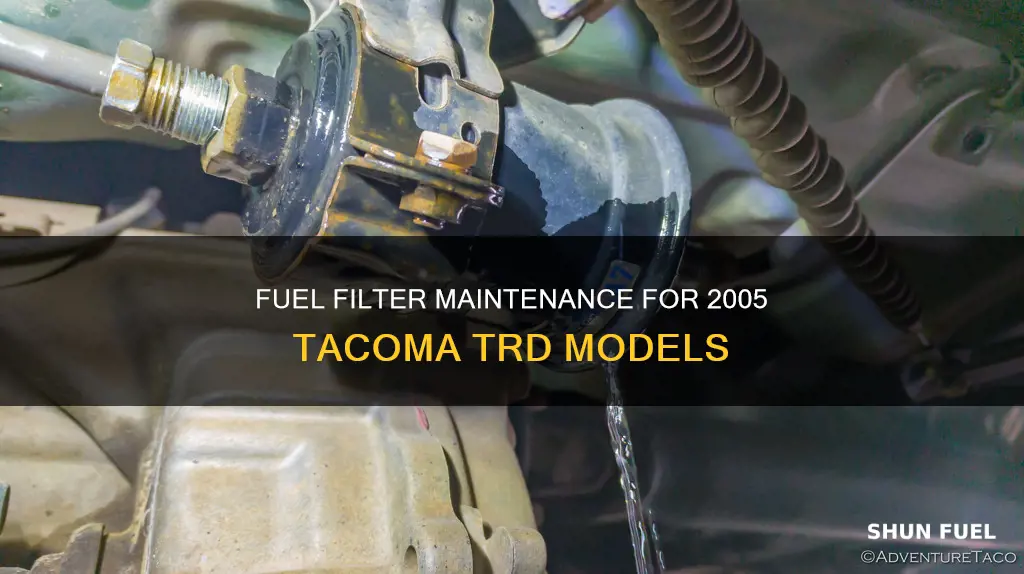 how often change fuel filter tacoma trd 2005