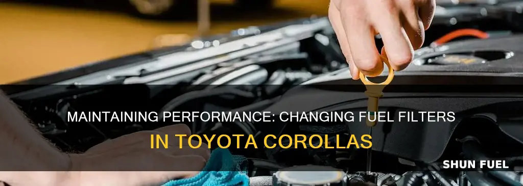 how often change fuel filter toyota corolla