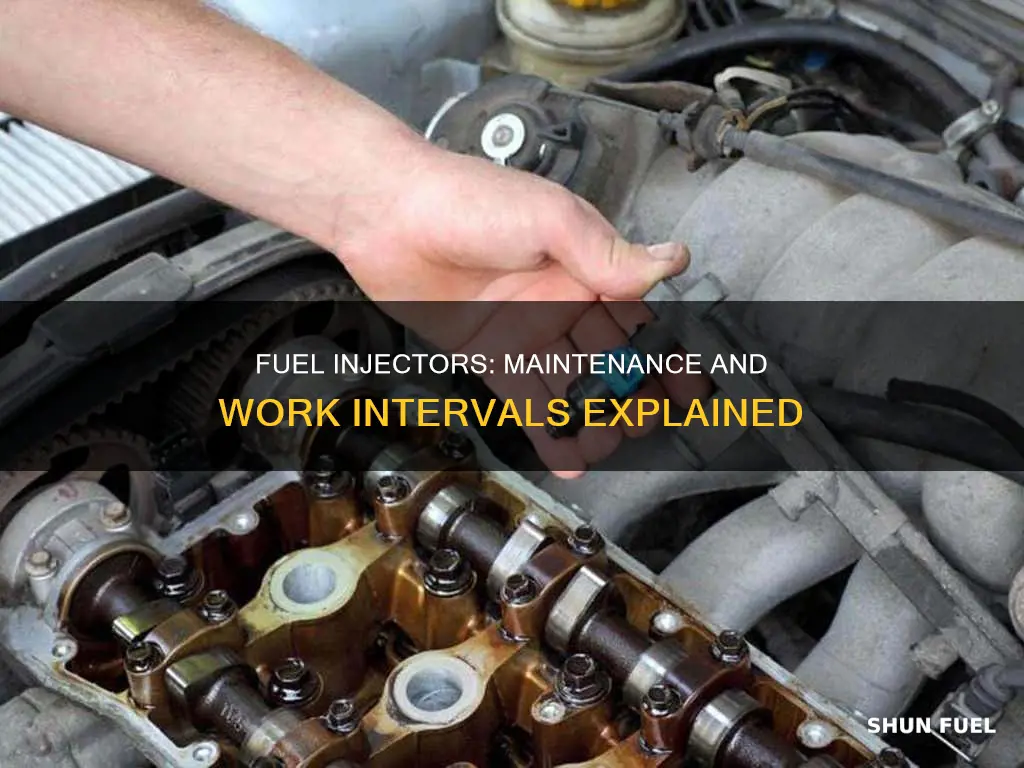 how often do fuel injectors need to be worked on