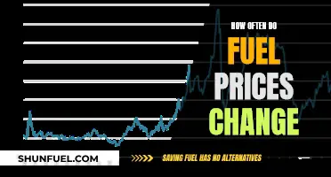 Fuel Prices: Fluctuating Fortunes and the Factors Behind Them