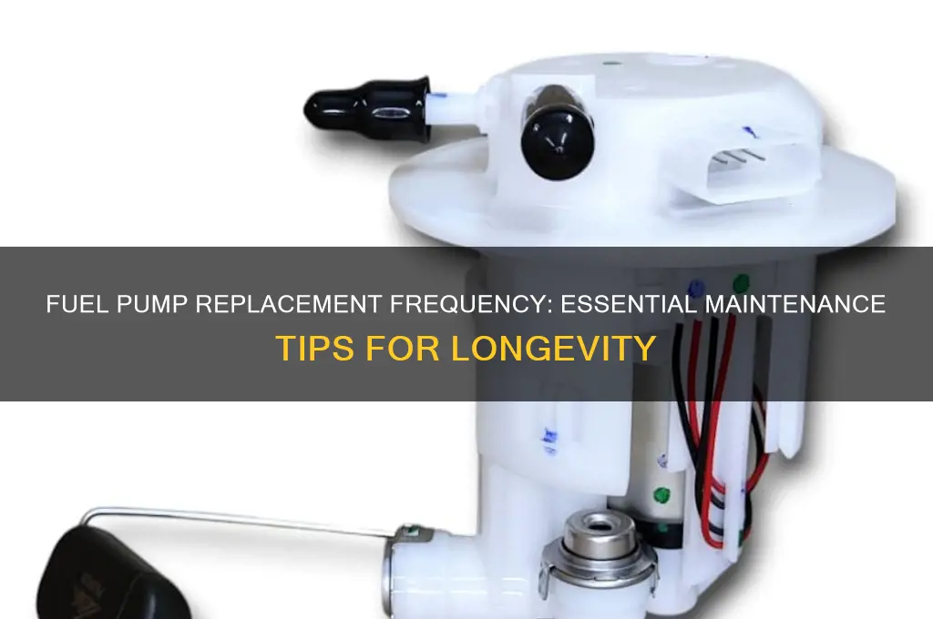 how often do fuel pumps need to be replaced
