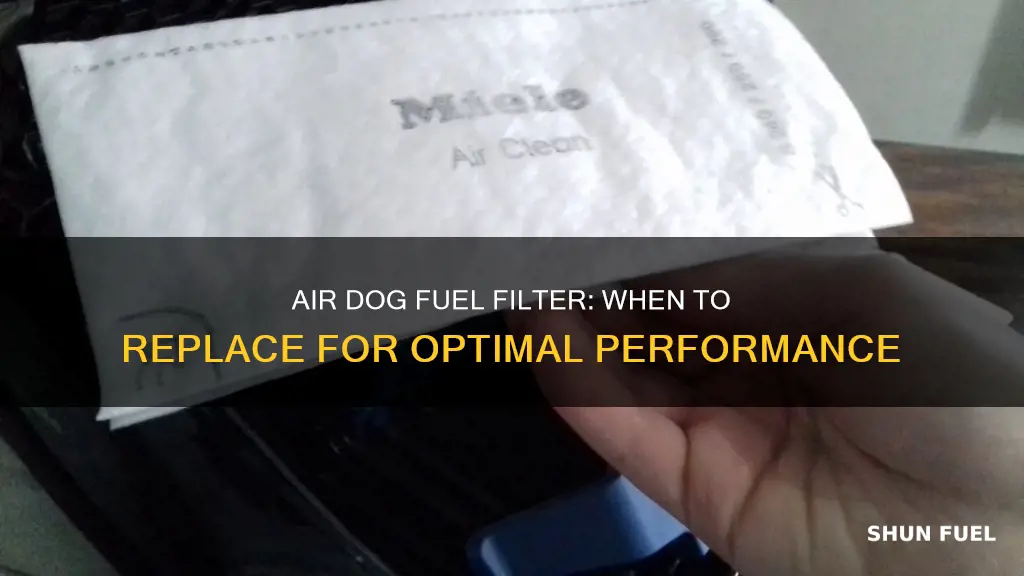 how often do i replace my air dog fuel filter