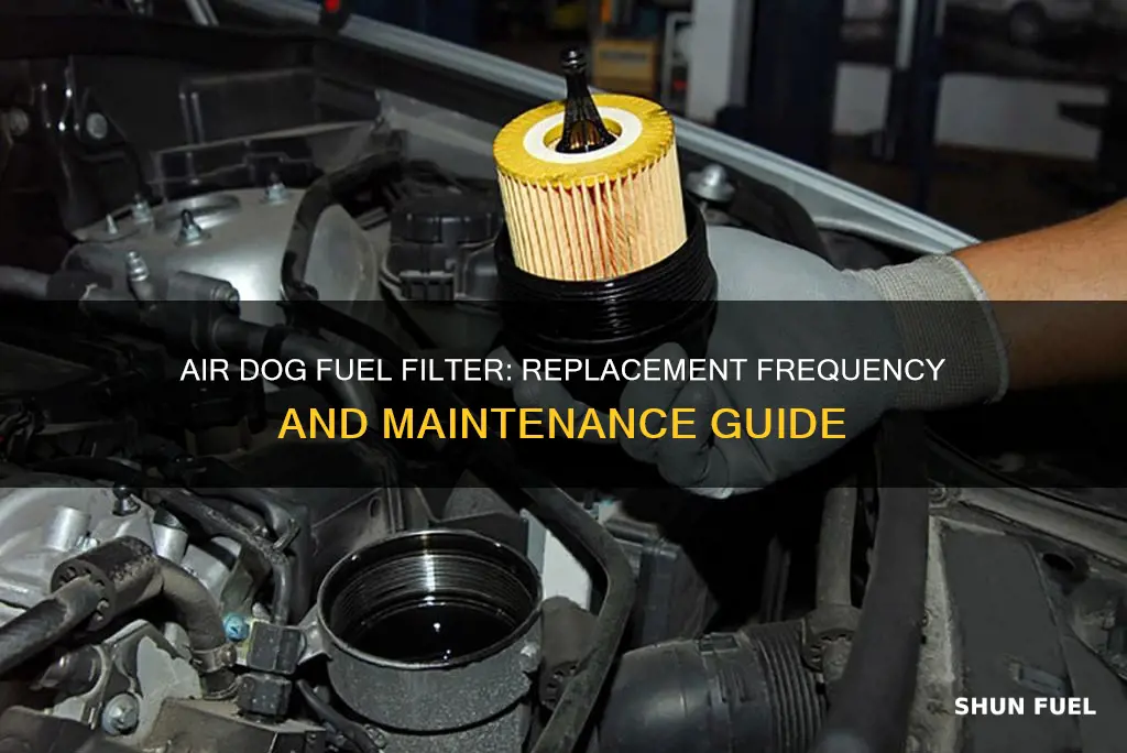 how often do i replace my air dog fuel filter