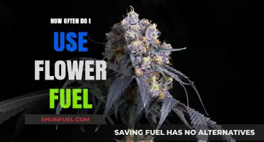 Maximizing Bloom Potential: Optimal Flower Fuel Usage Frequency Guide