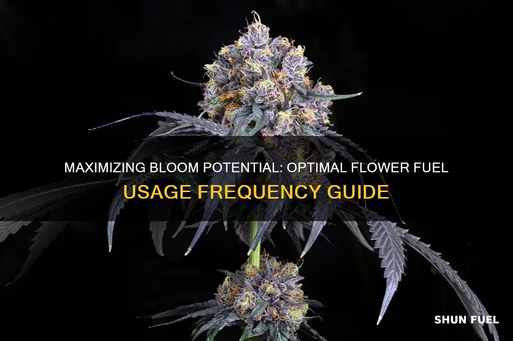 how often do i use flower fuel