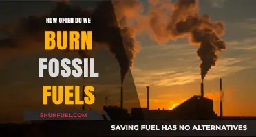How Often Do We Burn Fossil Fuels: A Daily Reality