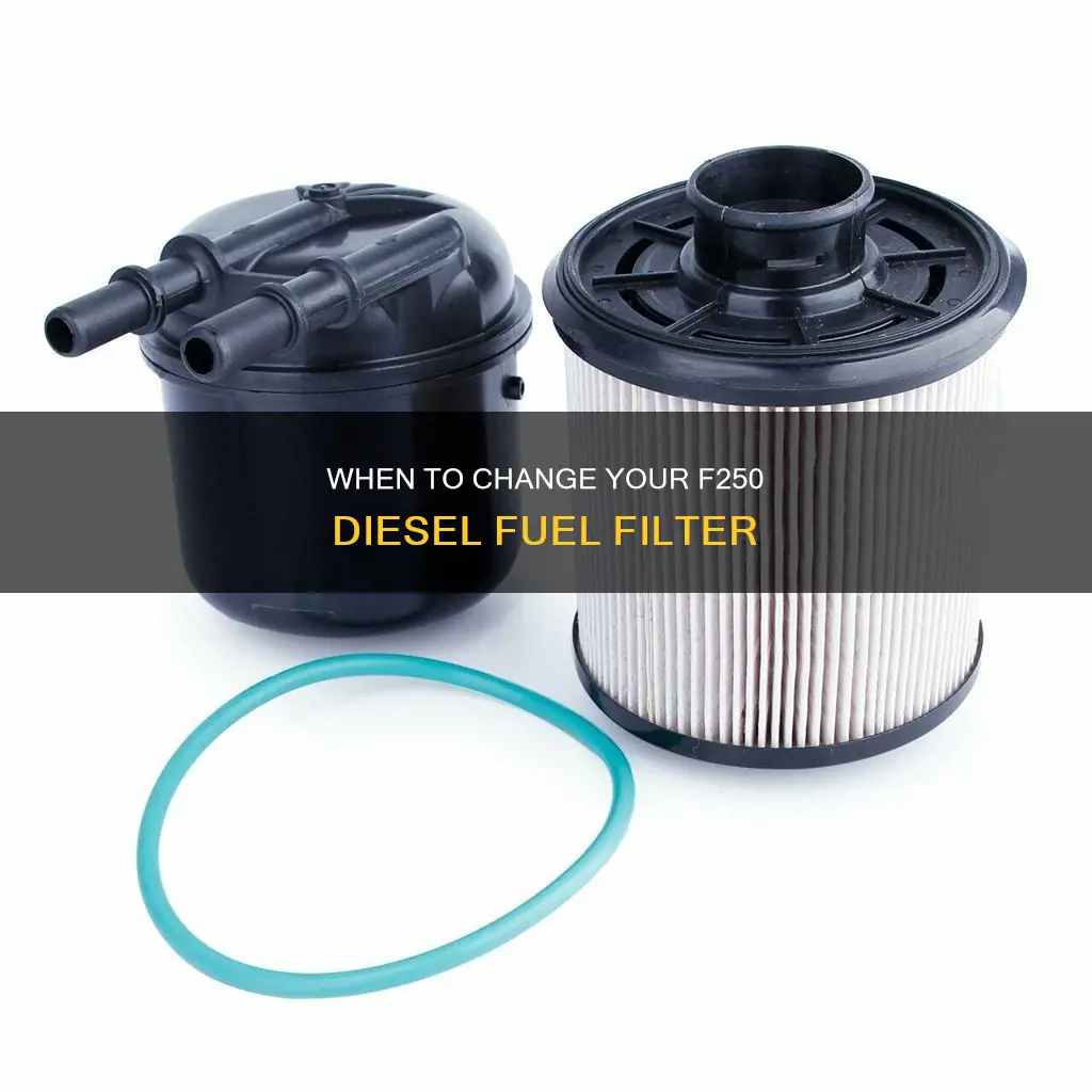 how often do you change fuel filter on f250 diesel