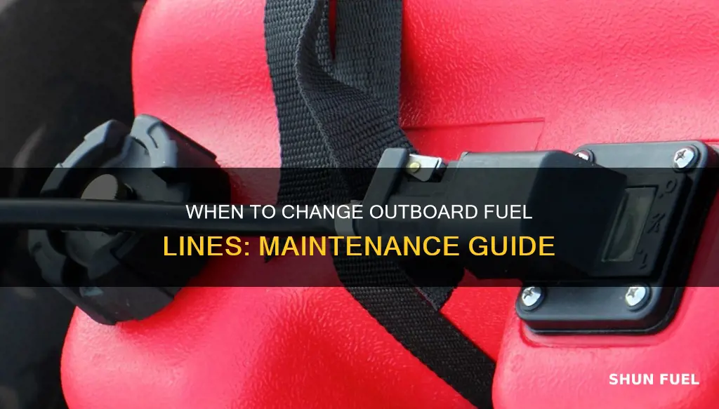 how often do you change fuel lines in outboard