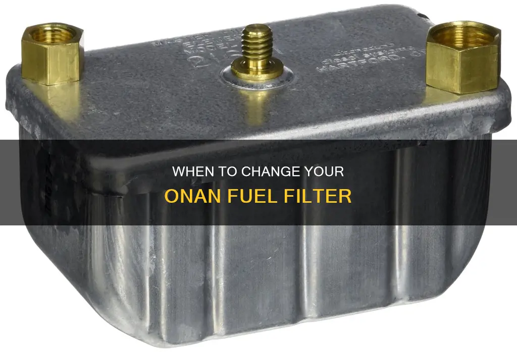 how often do you change the onan fuel filter