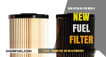 Fuel Filter Replacement: How Often?