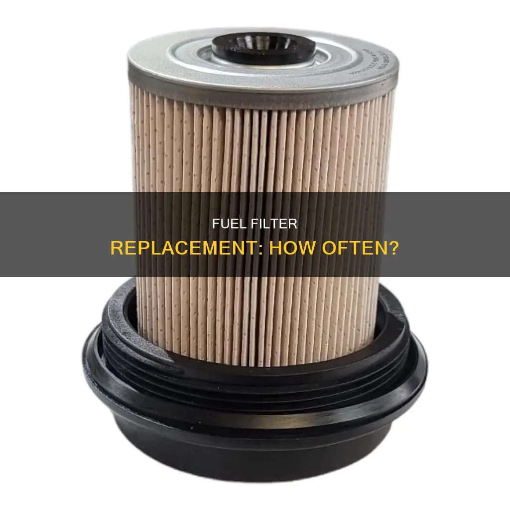 how often do you need a new fuel filter