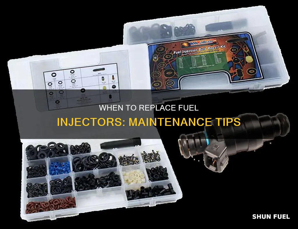how often do you need to replace your fuel inkector