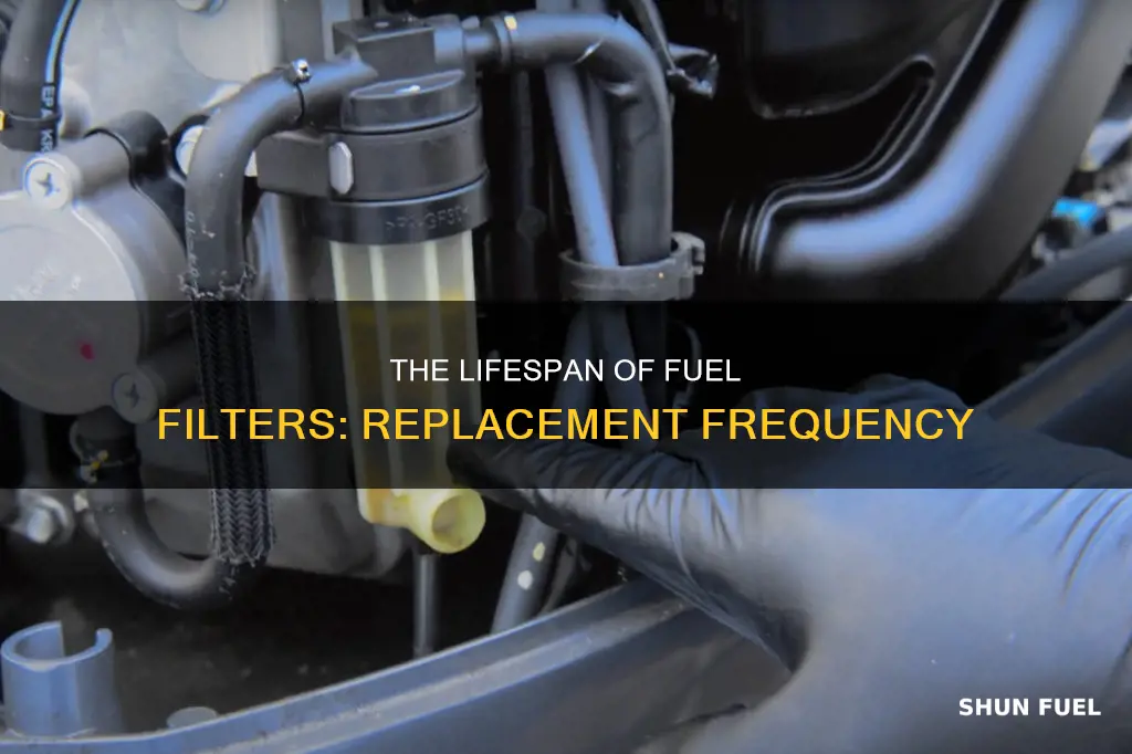 how often do you replace a fuel filter