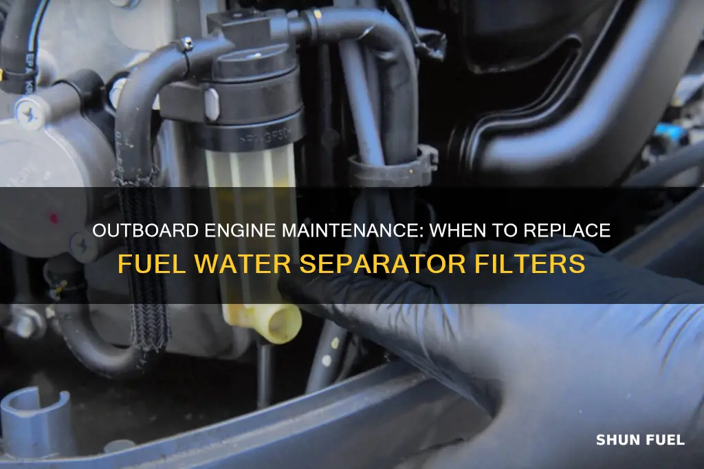 how often do you replace fuel water separator filter outboard