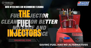 Flushing Fuel Injectors: GM's Recommendation and Maintenance Tips
