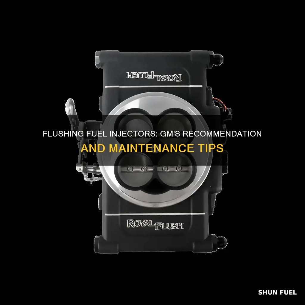 how often does gm recommend flushing the fuel injectors