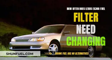 Lexus ES300 Fuel Filter: How Often to Change It?