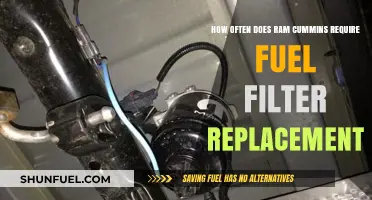 Cummins Fuel Filter Maintenance: When to Replace for Optimal Performance