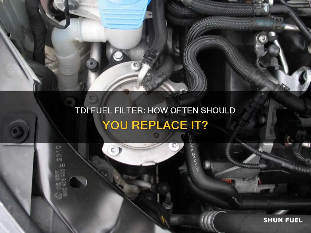 how often does tdi fuel filter need ti be replaced