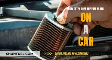 Car Fuel Filter Maintenance: How Often to Replace?