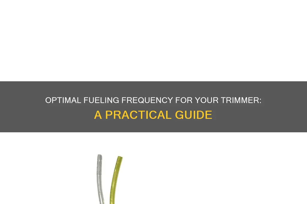 how often fill trimmer fuel