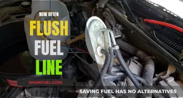 Mastering Maintenance: How Often to Flush Your Fuel Line