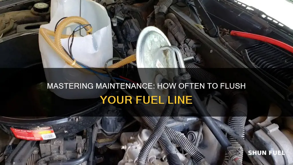 how often flush fuel line