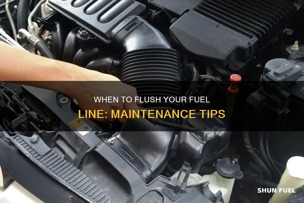 how often flush fuel line